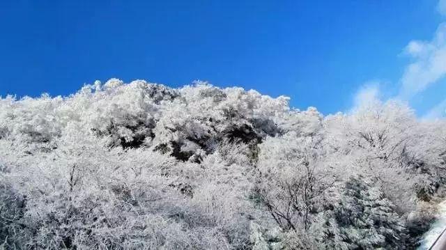小猫钓鱼开船版最新版下载