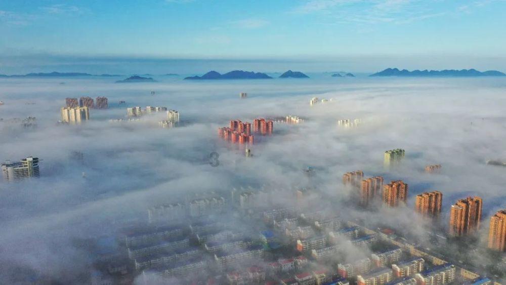 拉缸盐海参怎么泡发游戏画面