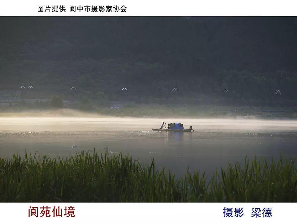 为何经历过多次疾风骤雨的整顿后，天价茶现象仍然屡屡发生？游戏画面
