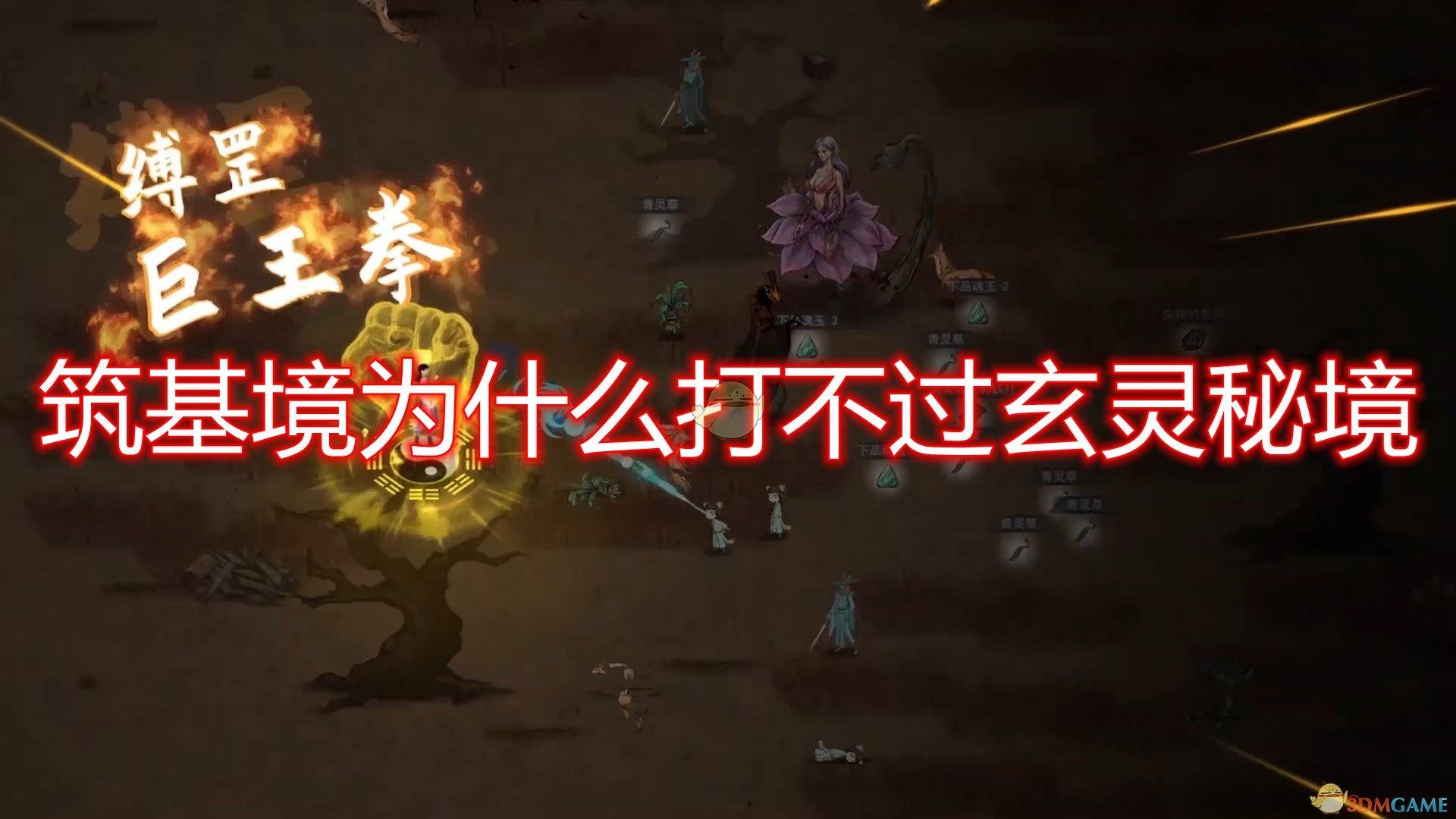 档档不凡 带你逛网红文二菜市