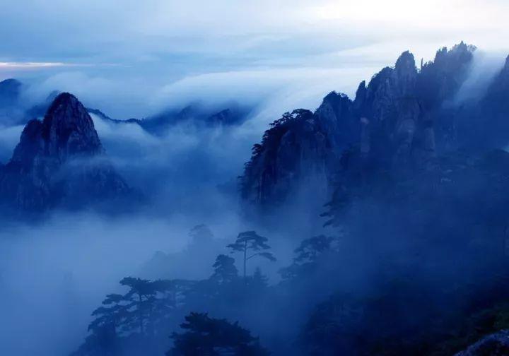 狐狸的旅程