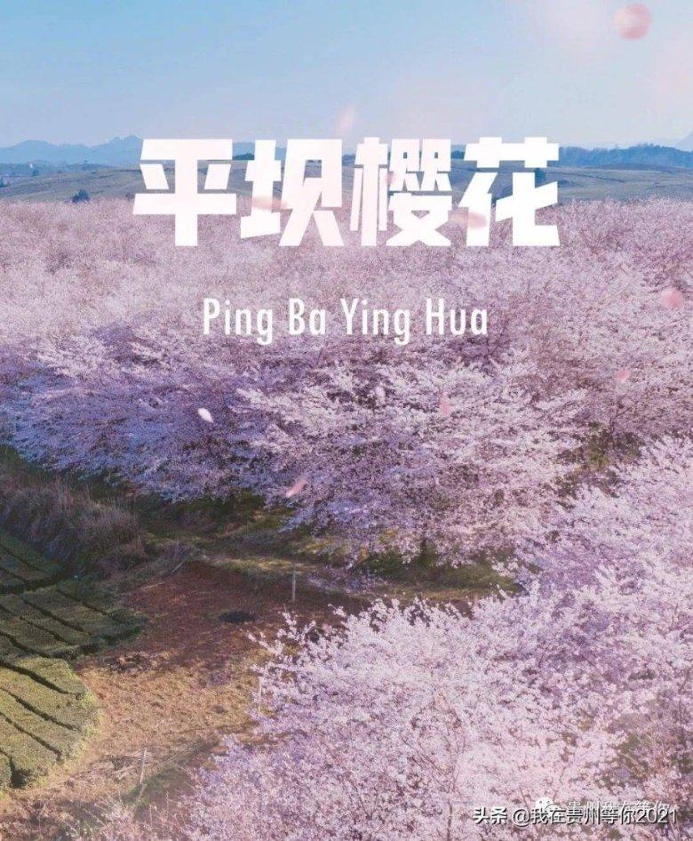 如何判断孩子究竟缺不缺钙?-汇聚知识精英的知识星球平台