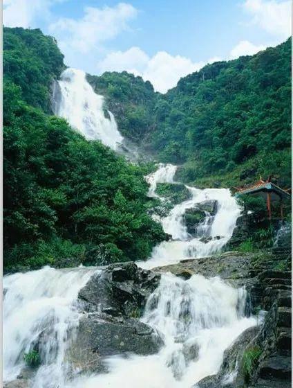 羊流鼻涕的救治方法游戏画面