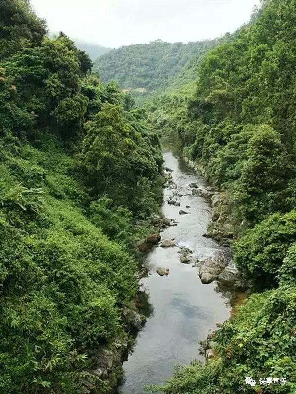 轩辕剑龙舞云山
