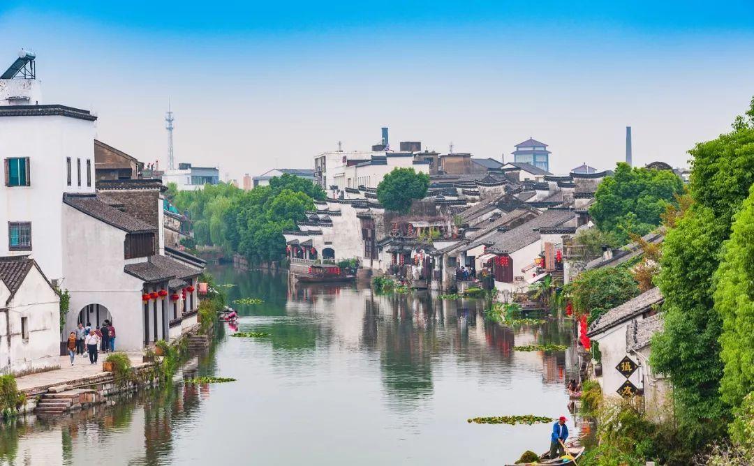 动物帮帮忙保卫家园